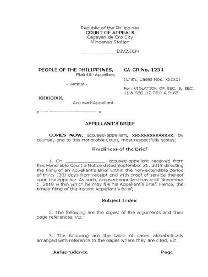 Are appellate briefs public record?