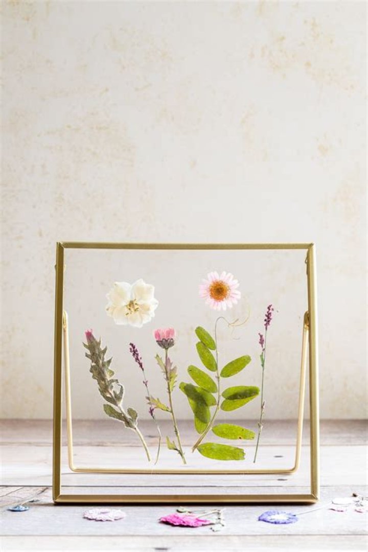 Are pressed flowers dried?