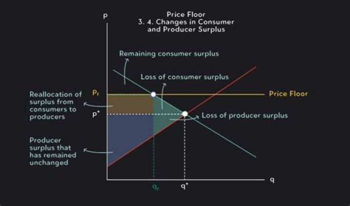 Do floors lead to surpluses?