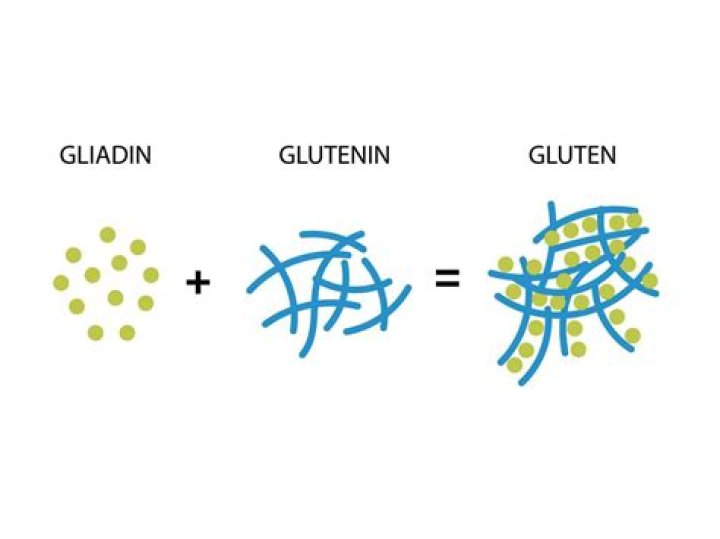 Does spelt contain gliadin?