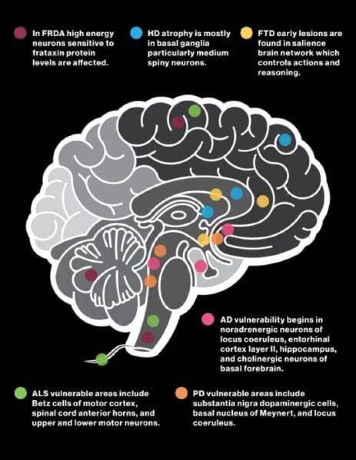 How does neurodegenerative disease work?
