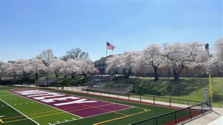 How safe is nutley nj?