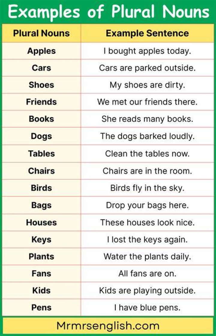 Is evidences a plural noun?