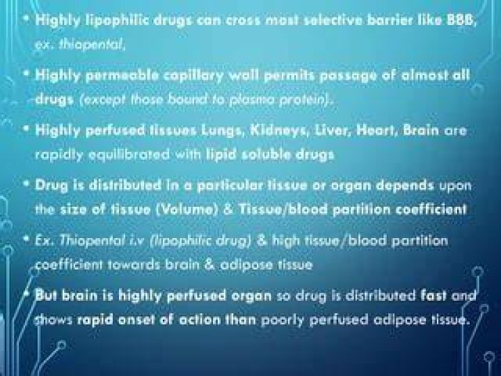 Is highly perfused organ?