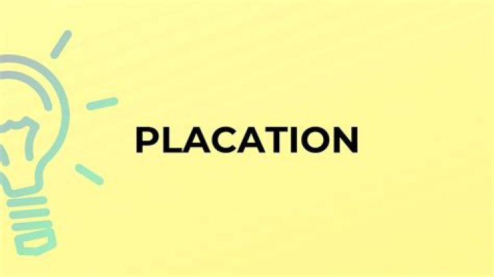 Is placation a word?