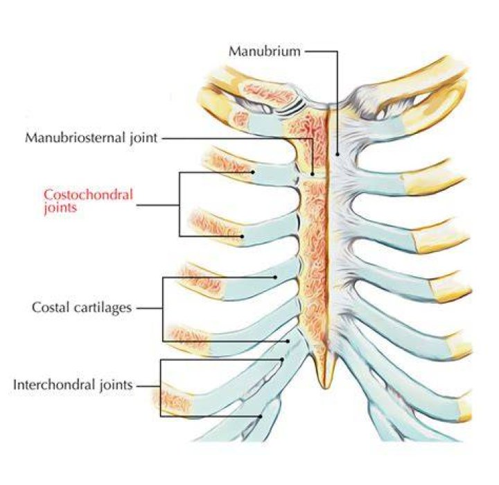 Where is the costochondral joint?
