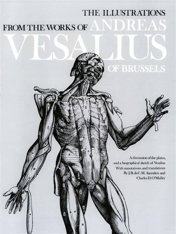 Who did andreas vesalius prove wrong?